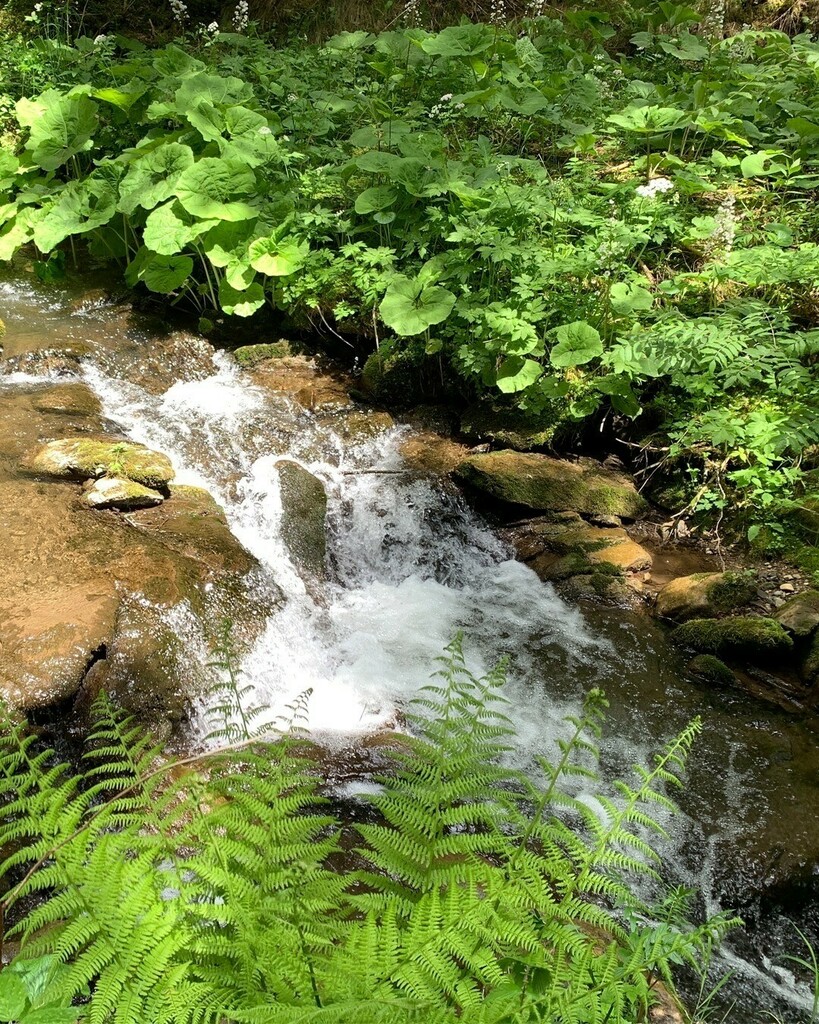 Wandern im Naturpark Zirbitzkogel – Grebenzen. Graggerschlucht Wasserweg, ein Ausflugstipp für die ganze Familie. Der Graggerschlucht Waldweg befindet sich in der Obersteiermark, in etwa zwischen Judenburg und Murau. Die Entfernung von Graz beträgt rund … instagr.am/p/CGP8Hc6CGGE/