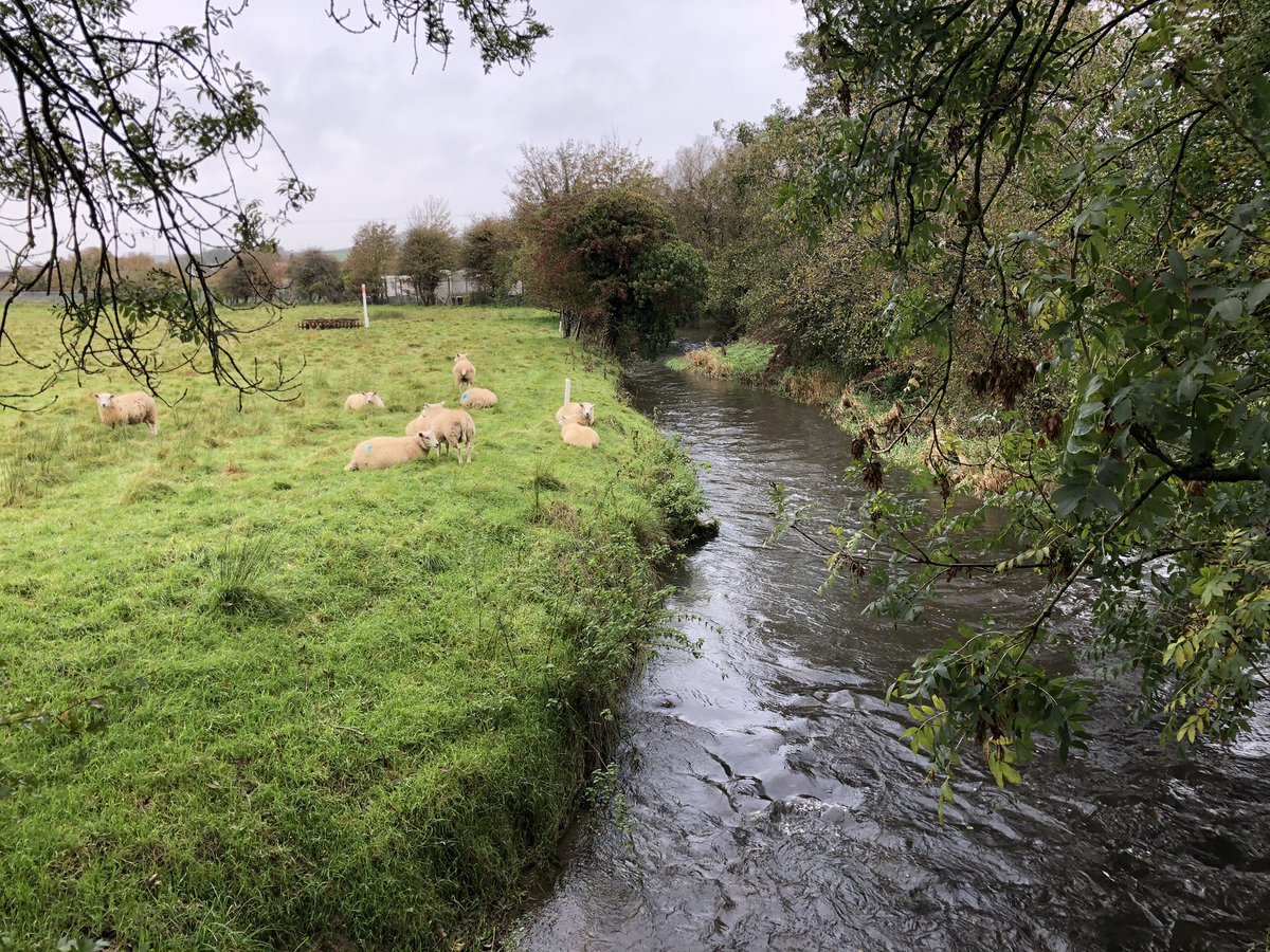 RamblersCymru's tweet photo. Working with @SWWConnected we’re looking to find beautiful #familyfriendly walks from their network of train stations! Whitland didn’t let us down today with lovely rolling countryside surrounding the town. #keepwaleswalking #walesisbeautiful #whitland #walkingisgoodforthesoul https://t.co/WE0WJTSU3d