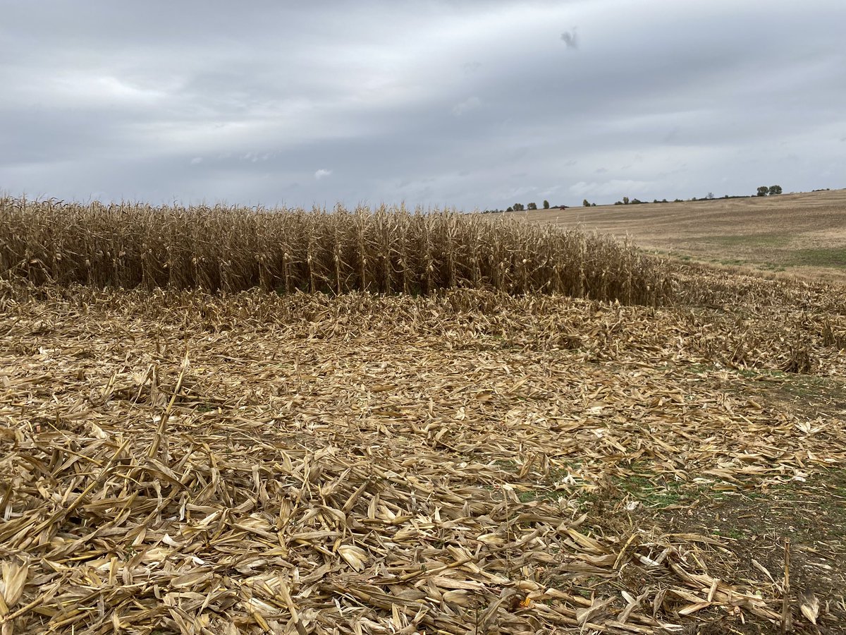 Just got the ends off a no-till tough acre FTN. If Mother Nature cooperates we should be into it shortly.
