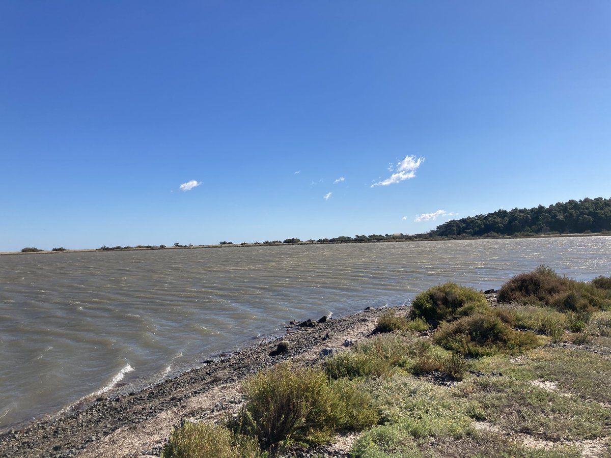 EXPERTIGNIS's tweet image. Encore un chouette cadre pour une expertise 😉
#réservenaturelle, #ile