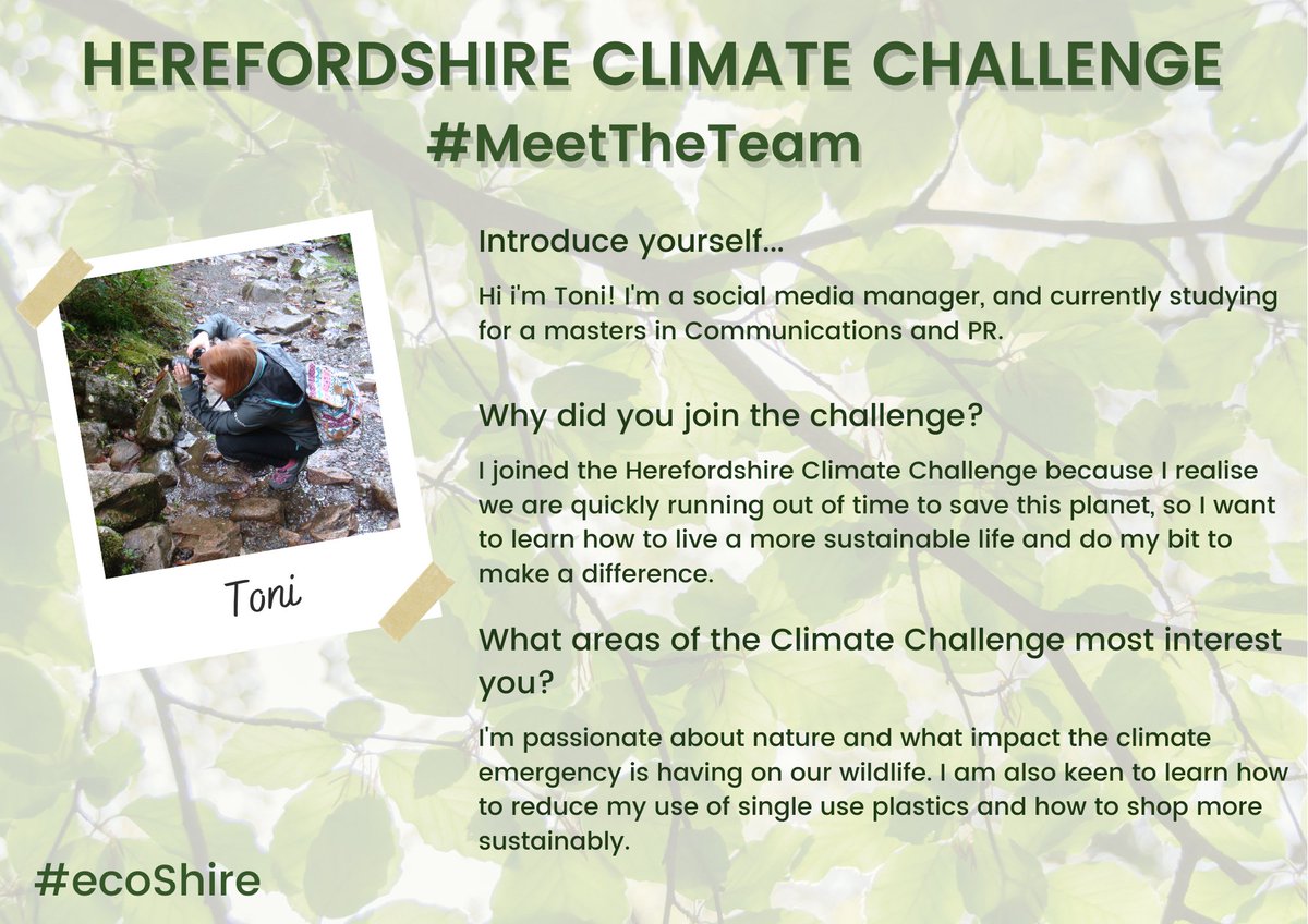 EcoShire's tweet photo. Mondays from now on are going to be #MeetTheTeamMonday and first up is Toni - we'll be introducing a member of the team each week and will be sharing why being a part of the team is important to us #ecoShire https://t.co/OoH70CRQ2E