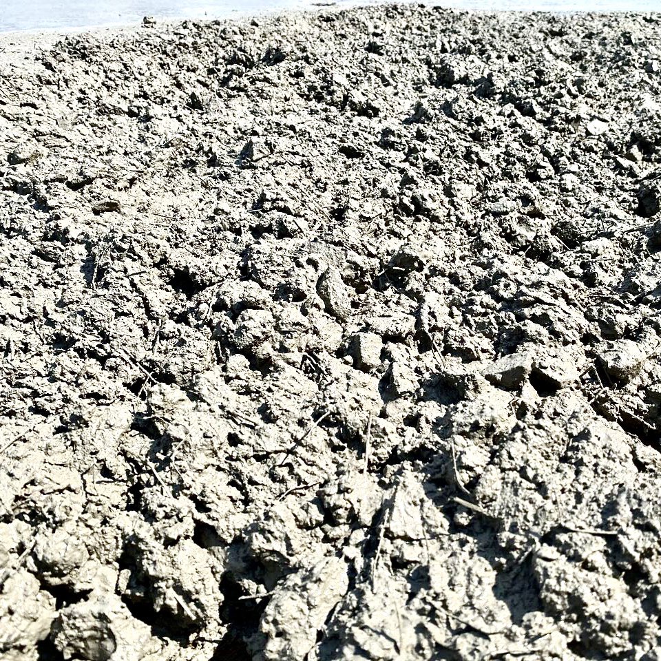 Kriscorti's tweet photo. 🇿🇦 Showcase of Africa's first @RCRIF #Optipave VRS system for external concrete hardstands 🚛
⬜️Trafic >> 30 mio. EE
⬜️20 Year Design Life #Monofloor
⬜️Fibre concrete with volumetric control by #LinkEVR
🔲Sawn joints 1,7x1,7 m with slim blades
🍃Low CO2 (optimized thickness) https://t.co/6FYGLTr3OP