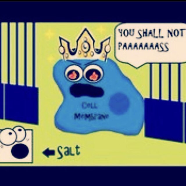 MRMEMBRANE2's tweet photo. nothing more annoying than an uninvited guest smh 🤦🏾‍♂️. you know you never have to worry about them with me tho. with my top tier security we only allow the good stuff to come in. #vote4mee #mostimportant https://t.co/DTM1JwYcy5