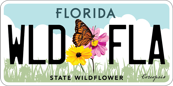 Now you can support <a href="/fl_native_plant/">Florida Native Plant Society</a> (FNPS) w/ a license plate. Pre-sale for the plate starts Friday (10/16) at the Tax Collector’s office or Highway Safety/Motor Vehicles. After 3000 vouchers, the state will make the license plates and send FNPS $20 per plate. That's $60,000!