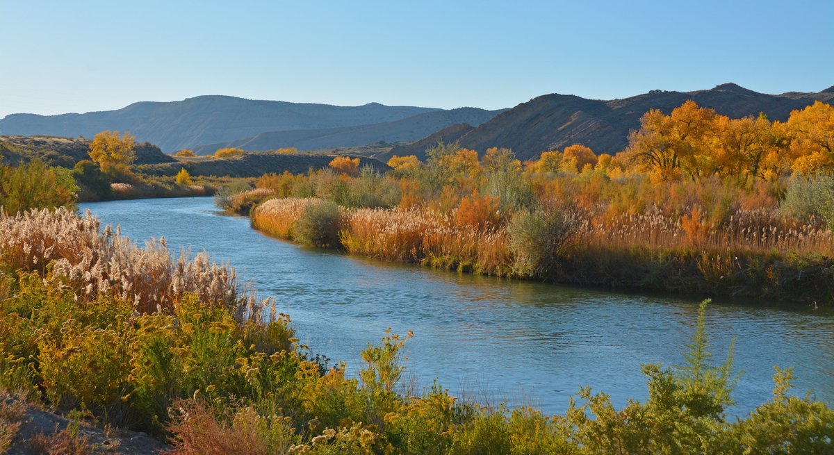 TownofRangelyCO's tweet photo. When your town and community is surrounded by beautiful
#fallfoliage you have to share it with the world!
#rangelycolorado #rangelyfallcolors #fallcolors2020 #autumn #autumnvibes #autumncolors #visitrangely #colorfulcolorado #colorado #coloradofallcolors #smalltownUSA https://t.co/81ZDLHHbVW