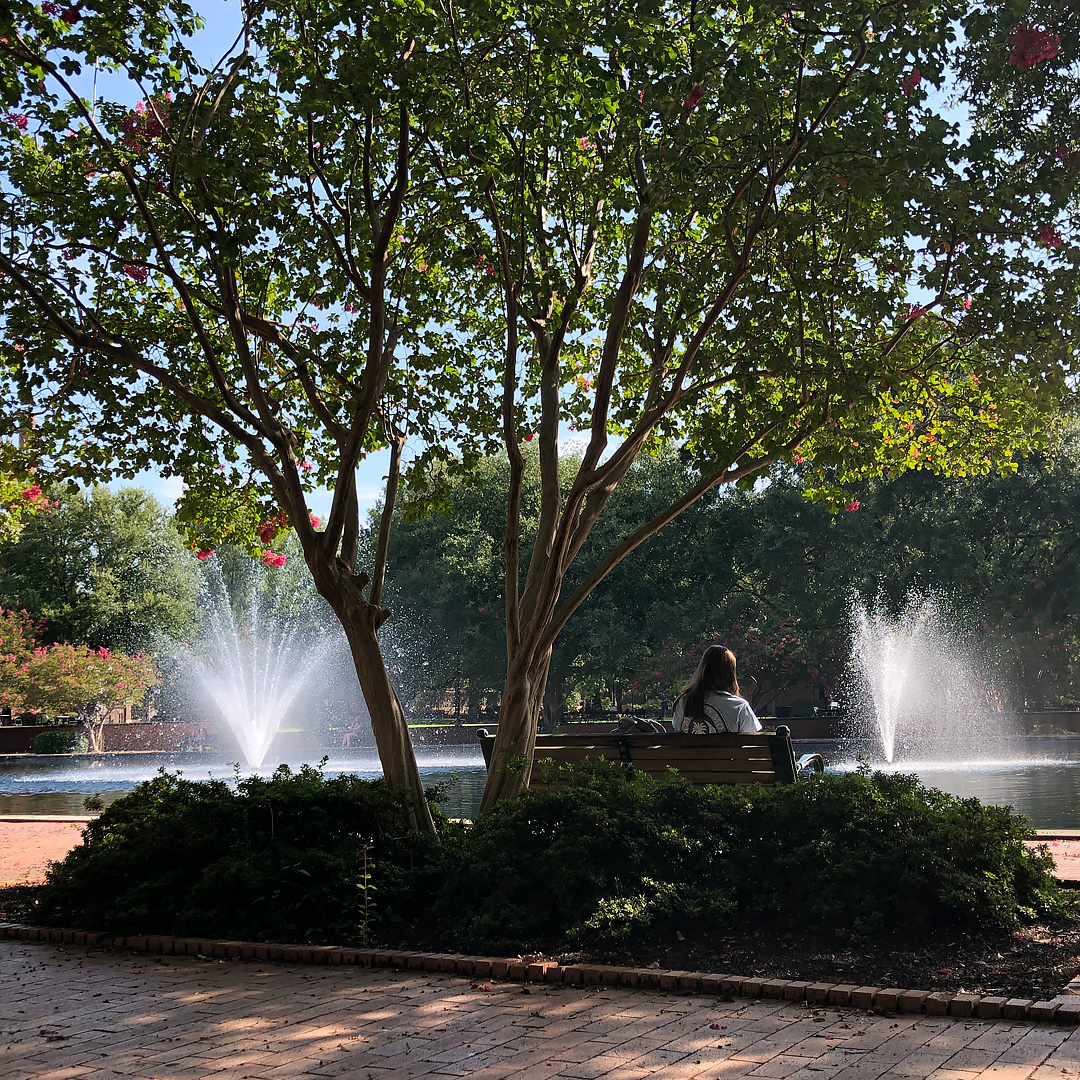 Grief is the natural response to any loss. There is no one way to grieve or a set path to healing. Counseling &amp; Psychiatry is here for <a href="/UofSC/">University of South Carolina</a> students needing additional help. Make an appointment for a grief support group or a telecounseling visit on sc.edu/MyHealthSpace