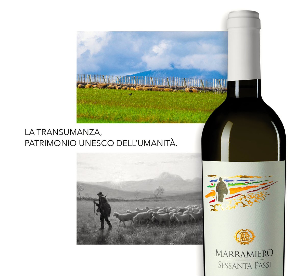 MarramieroVini's tweet photo. CANTINA MARRAMIERO
Filari d'estate
https://t.co/AsgZZNVBjZ
#CantinaMarramiero #vendemmia #tratturo
#sessantapassi #patrimonio
#compagnidiemozioni #vendemmia2020
#collinepescaresi #segnodivite #vinesign
#impressonelvino #impressedinwine
#tenutedirosciano #tenutediofena https://t.co/hO0lk5qpR3