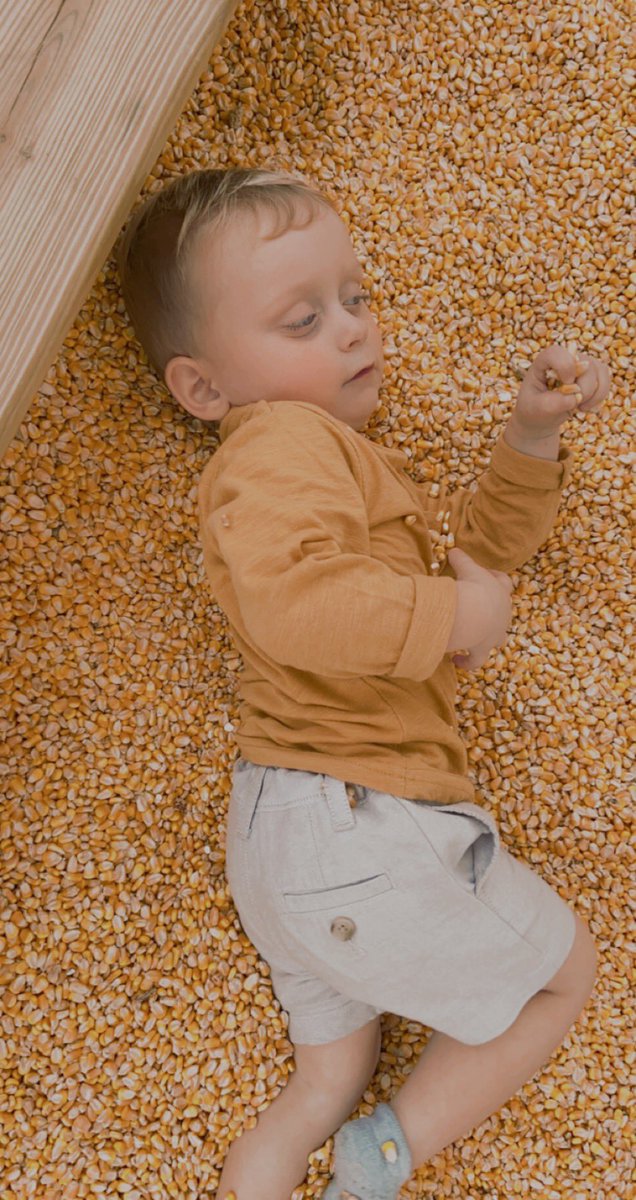 Jimmyplat07's tweet photo. Meet me at the pumpkin patch! 🧡 https://t.co/ilu6qHEGoo