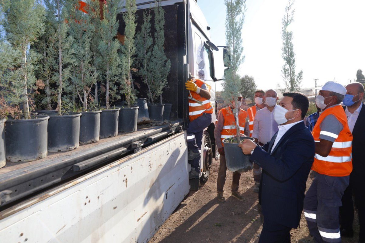 Hatay için bir tır fidan yolladık .

Böyle bir acının bir daha yaşanmaması dileğiyle <a href="/HatayBSB/">Hatay Büyükşehir Belediyesi</a>