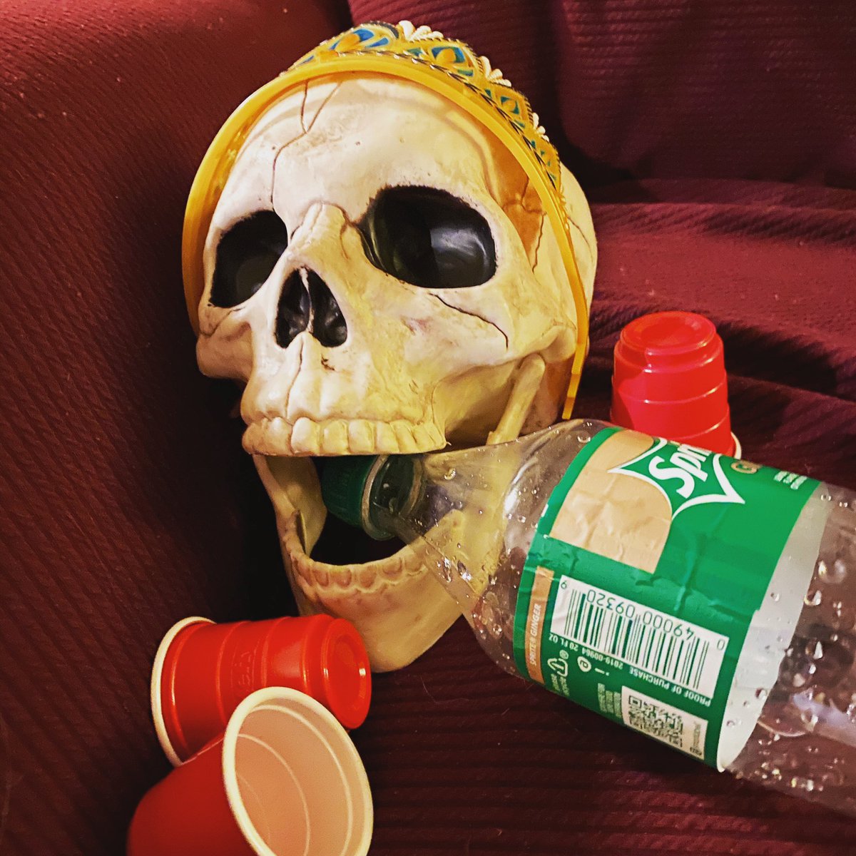 MGrabvoid's tweet photo. When your DnD prop gets a little out of control! “Myskull! Go home! You wasted!” #DnD #adventuresofmyskull #shadowmage https://t.co/S4v3fDfjoU