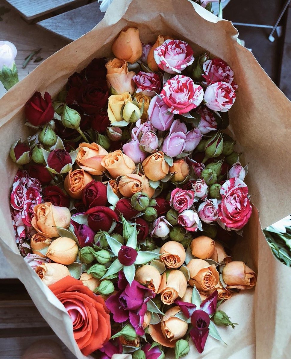 MEDllCUS's tweet image. Un bouquet porté à sa porte, accompagné d'un simple mot à l'encre noire l'invitant à se joindre à lui au gala des hauts-sorciers du ministère de début d'année. Une invitation sobre, certes, mais toutefois moins formelle qu'alors, presque chaleureuse.