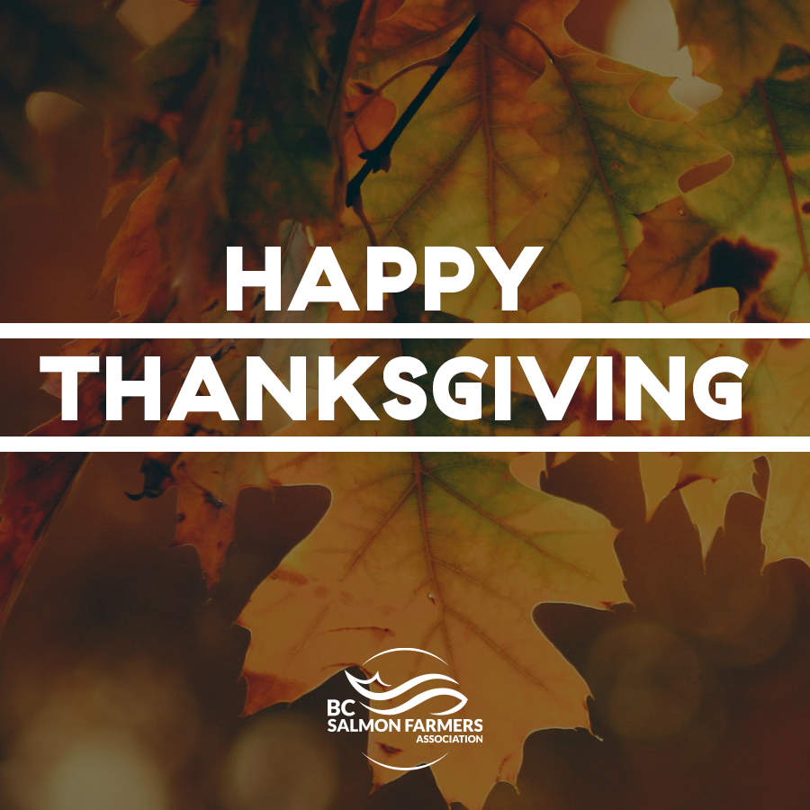BCSalmonFarmers's tweet photo. We hope you are having a safe and happy thanksgiving weekend ππ₯§
Stay updated on BCCDC recommendations for safer celebrations during the fall season: https://t.co/MAWxJMs4Tu
#thanksgiving #COVID19bc #safercelebrations #staysafe #bcsfa https://t.co/OD1y5QGiwC