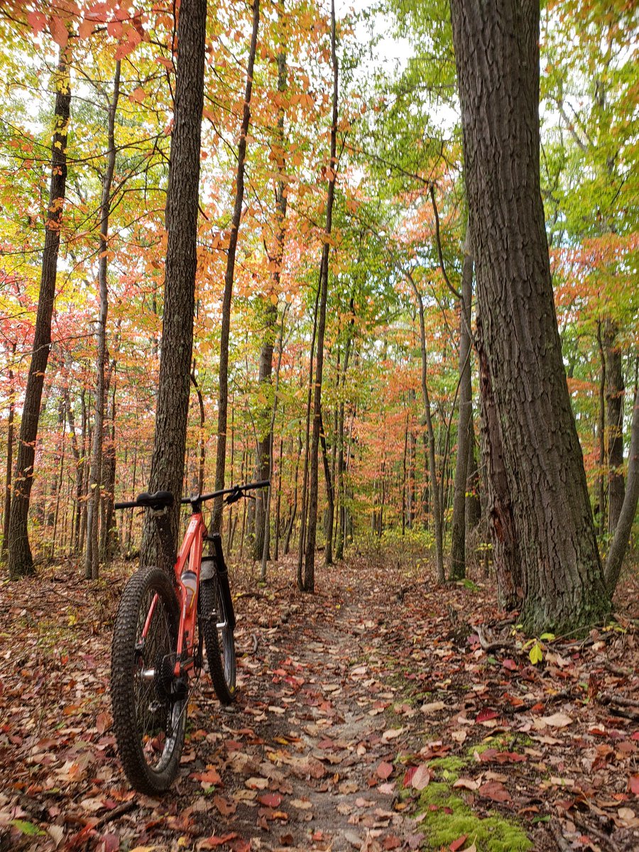 West Virginia #mtb #ridebeer #commencal