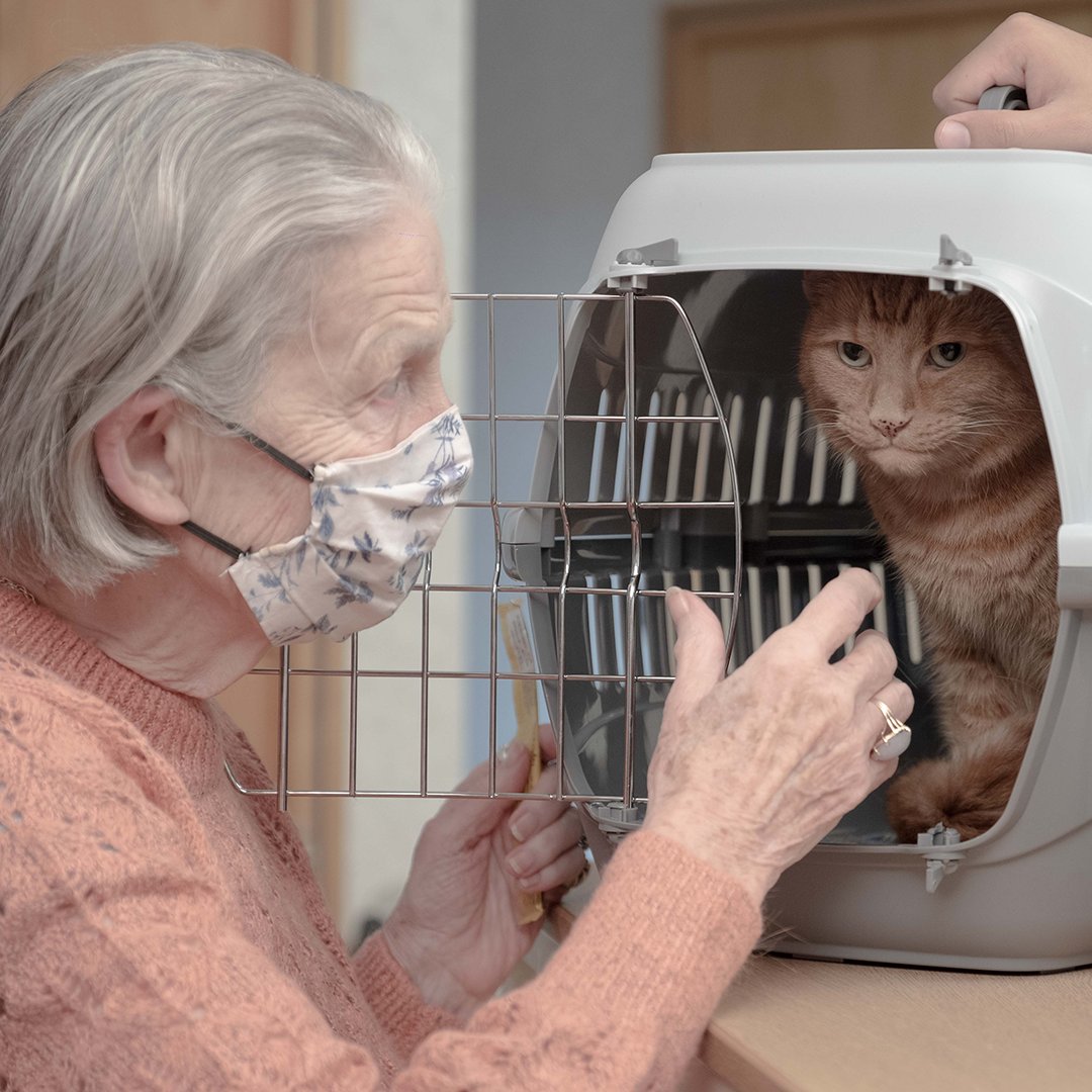 PDSA tweet media