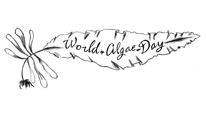 Happy World Algae Day everyone!