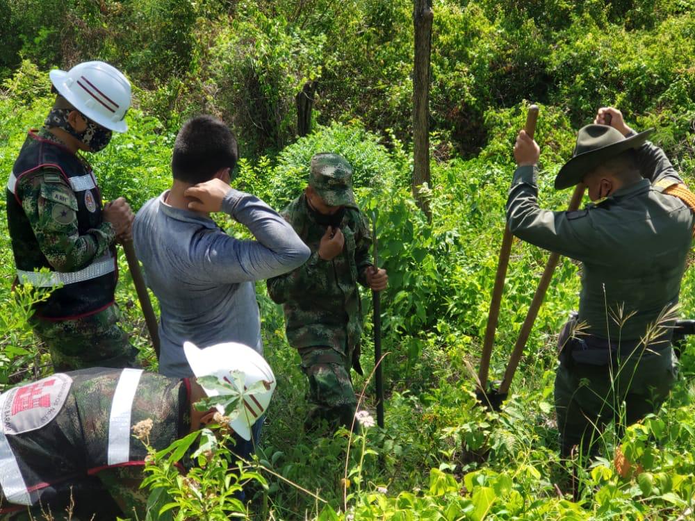 Ejercito_Div5's tweet photo. #Brigada13 | Soldados del Batallón de Ingenieros Nº13 apoyaron la siembra nacional #MeUno plantando árboles en el municipio de Girardot. Somos el Ejército Nacional al servicio de las comunidades, en un trabajo enlazado con las autoridades ambientales @COL_EJERCITO @MinAmbienteCo https://t.co/AUfQuriQY6