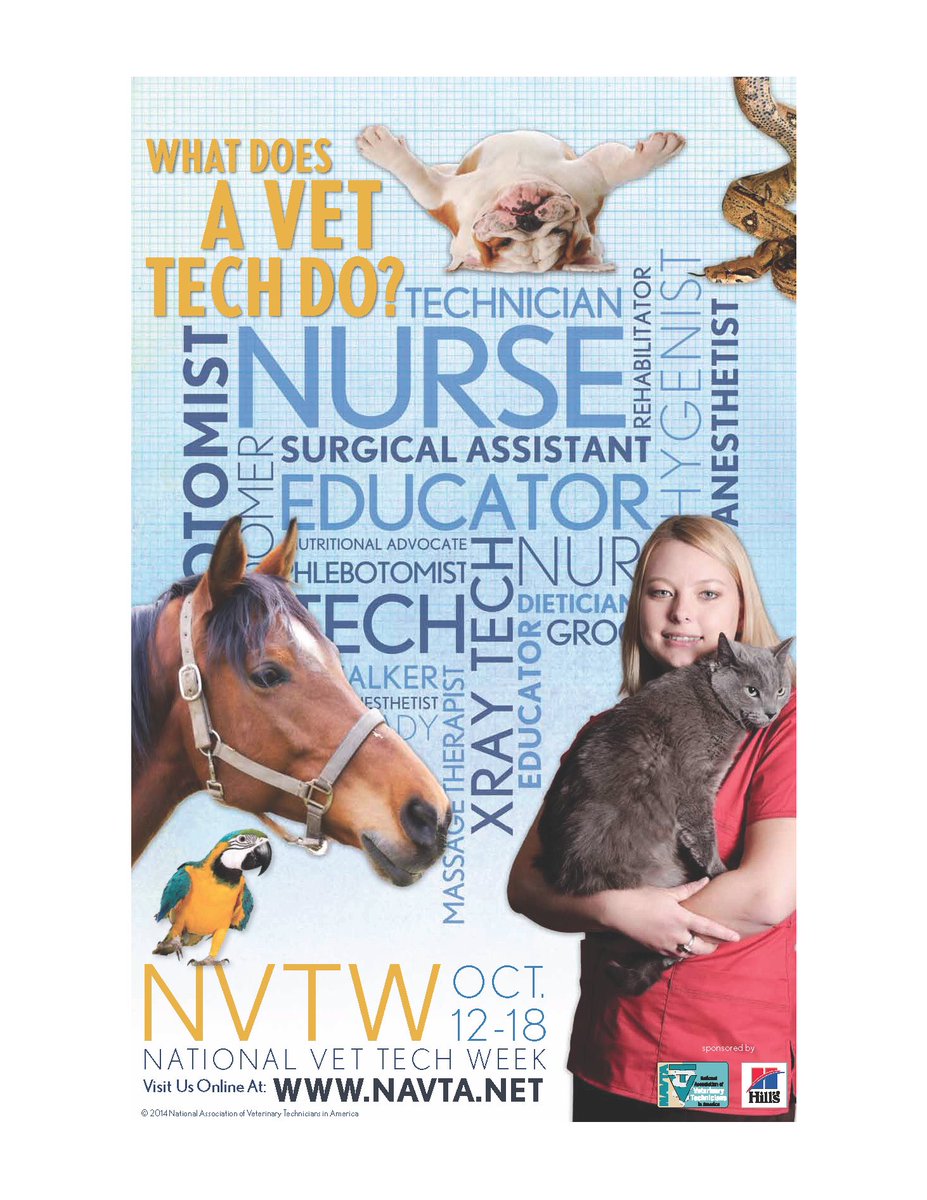 jazmmineTV's tweet photo. Happy #NationalVeterinaryTechnicianWeek to all my fellow technicians!  
#Vettechbyday #Gamerbynight #Furmom #Forthosewithoutavoice https://t.co/ZAjG2CBPUS