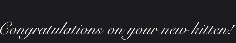 A screenshot of some text that says: ‘Congratulates on your new kitten!’