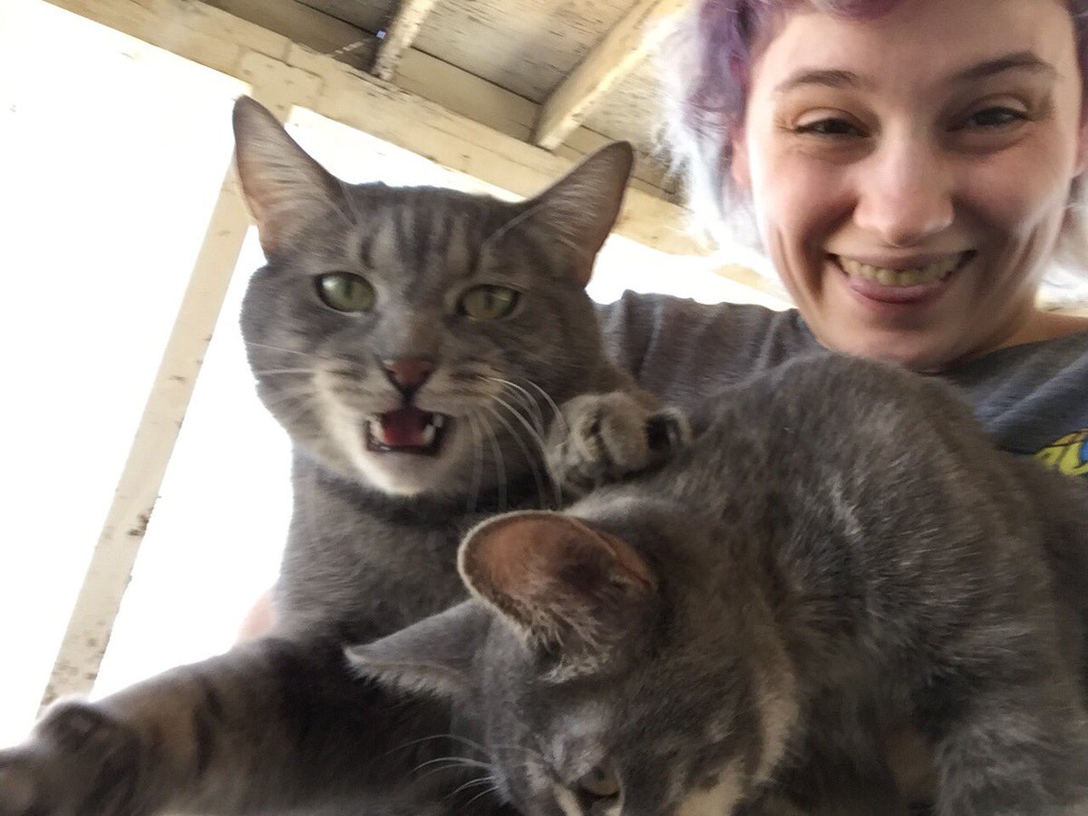 GlitterKity's tweet photo. It’s not easy getting a picture holding both my fur babies 😹#catsofinstagram #grumpycats #plzdontholdme #putmedown https://t.co/h77XBPJCqJ