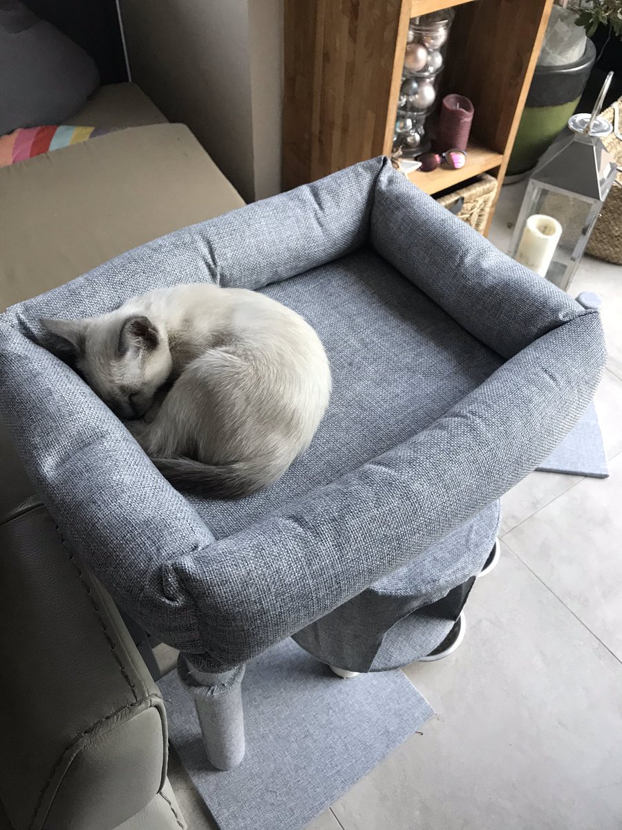 Zzennnnnn's tweet photo. Parce que quand même https://t.co/KIq49hwiyg