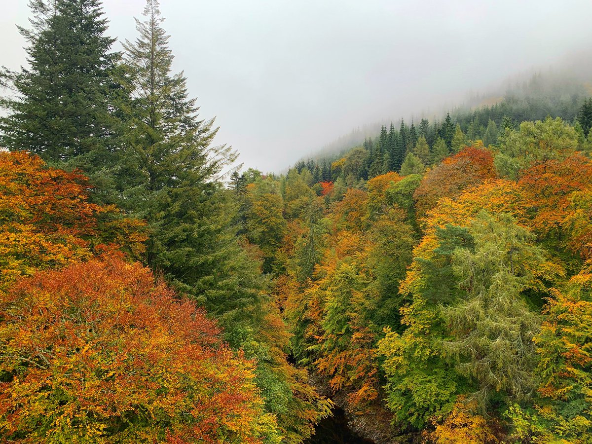 Heather McDevitt tweet media