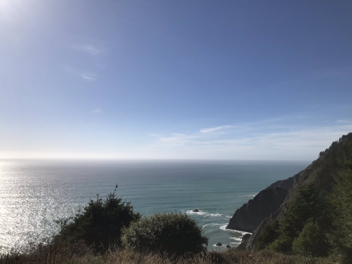 Somewhere right now, a boy stares out across the ocean. He is in between his zoom class where he will be lectured on nonsense by an uninterested blurry face, and his parents who are hyperventilating about whatever news broke today.