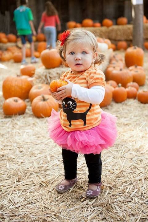 HobbsGrove's tweet photo. Got young children? Book your family visit to the daytime non-scary, super-FUN &amp; educational Pumpkin Grove! Social distancing practices in place! Learn more: https://t.co/TVpJWg2juJ 🍂🎃🍁 https://t.co/EtTwIUqTVx