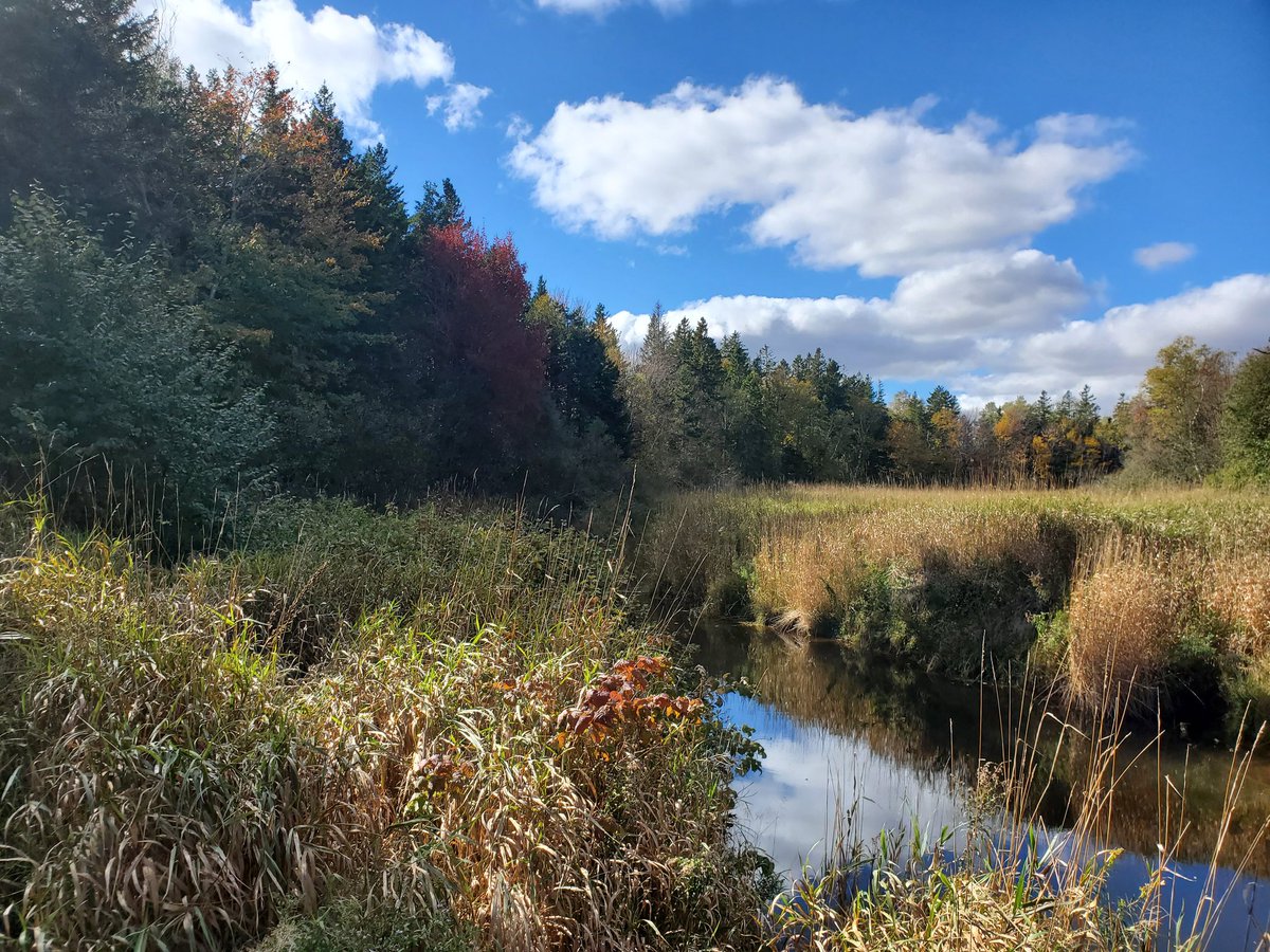 bmchristo26's tweet photo. #Islandtrails
Breadalbane,PEI...6.5km
Beautiful day for a hike!
#workofftheturkey https://t.co/QkvTYWxZ0M