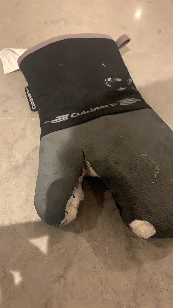 ConorPOBrien89's tweet photo. Lockdown has been the victim of one pair of oven gloves  @Cuisinart https://t.co/ivSmGJRpiX
