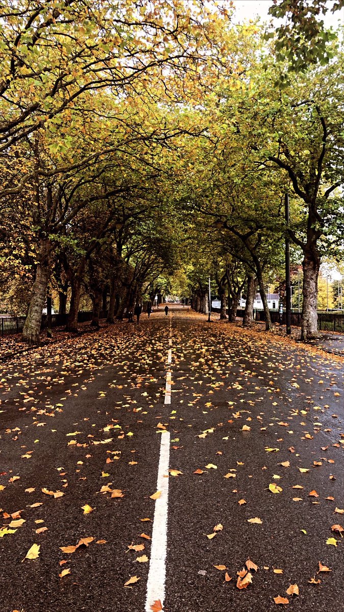 Ghea Noviar tweet media