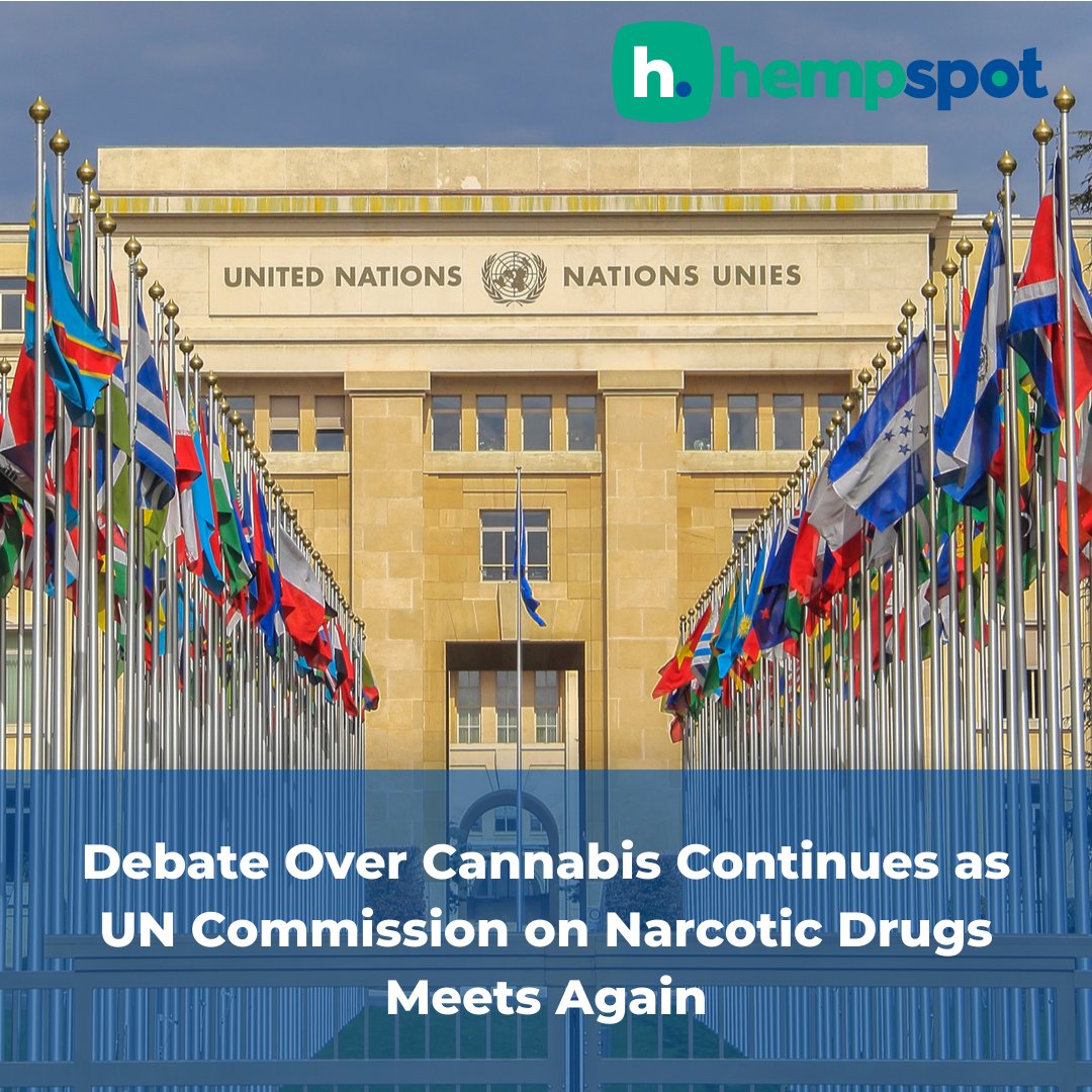 hempspotinc's tweet photo. The Thursday meeting held in Vienna, Austria, continues the global debate over whether cannabis and cannabis resins should be rescheduled. 👀👀

#hempspot #unitednations #cannabis

https://t.co/gWT00RbNpN https://t.co/cBPIdgZgQH