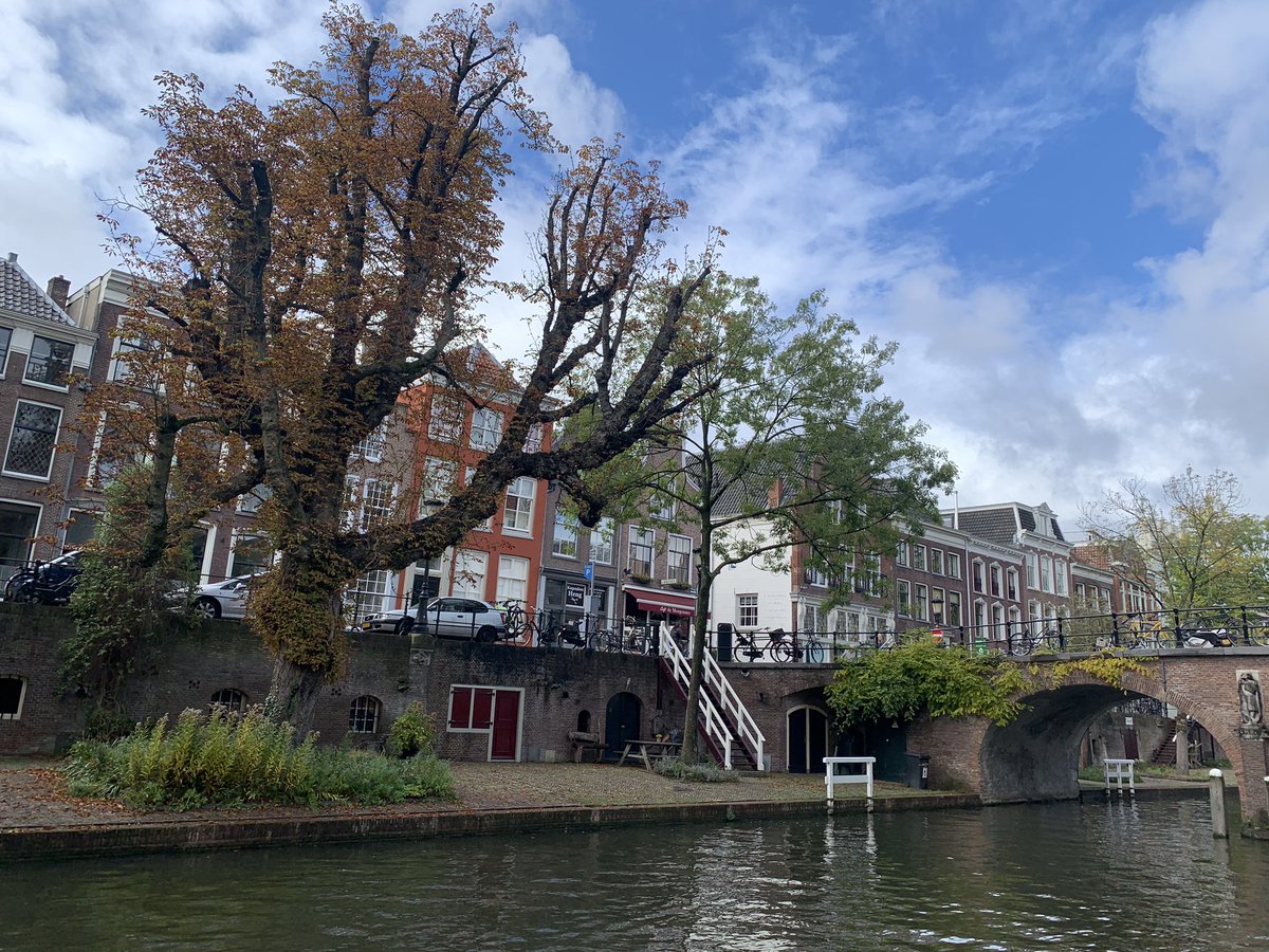 AlexandraDoorn's tweet photo. Herfst in Utrecht 🍂 https://t.co/C9GI5zQxfA