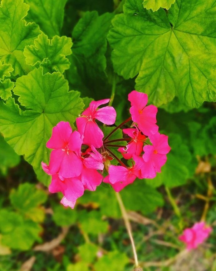 brian__oiriga's tweet image. The beauty of @TECNOMobile254 #CBeyond