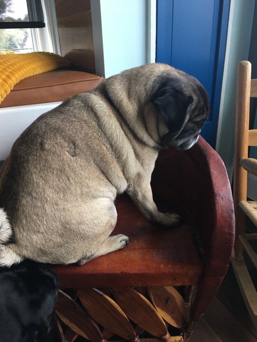 This chair is the perfect size for me, but not Piper.  That’s why we call her Biggie.