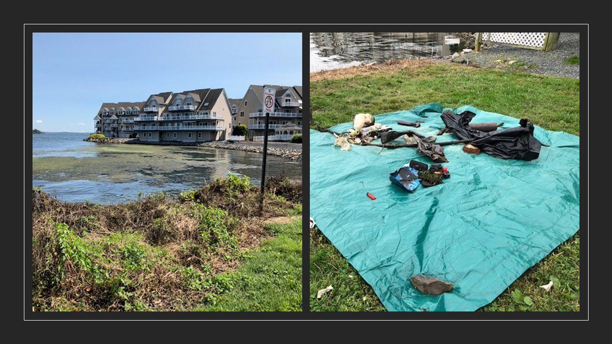 Divers removed 34 pounds of debris from our adopted dive site in beautiful Havre de Grace, Maryland on Sunday, making every dive count. #DiveLocal #DiveAgainstDebris https://t.co/sqiQ758U9R