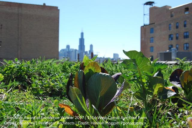 GRHCna's tweet photo. The time is now to green our cities. We need more parks, gardens and trees to help our communities recover from COVID19 and adapt to climate change. We must work together. From Oct 20-23, be part of the greener, healthier solution at #CitiesAlive https://t.co/mge0Nh83QS https://t.co/tCA40Lyv2i