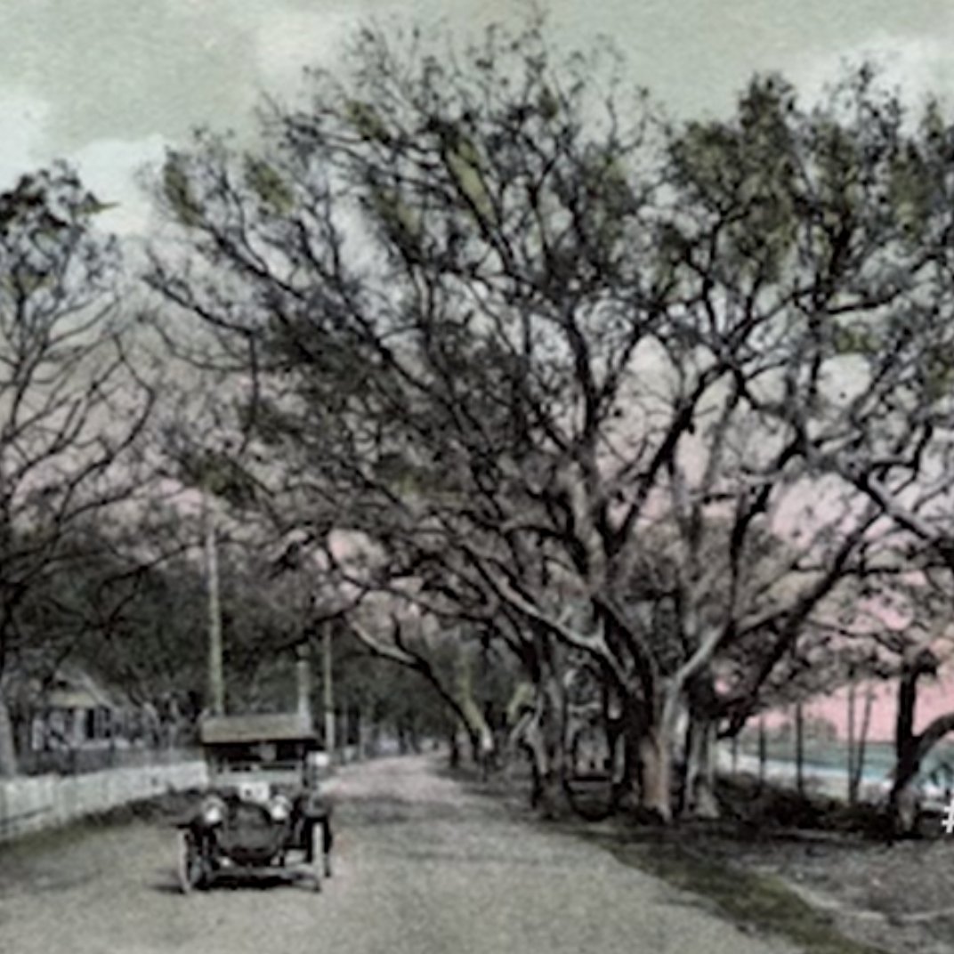 Olive Branch, MS Road Conditions with Driving and Traffic Flow