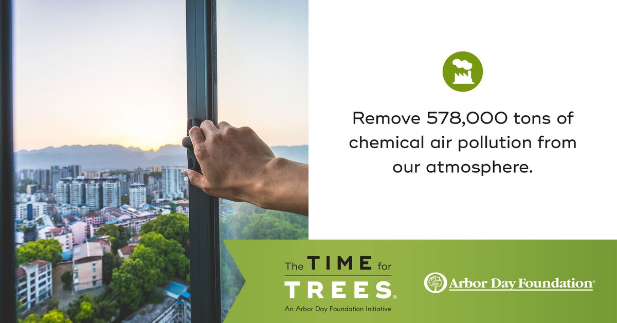 arborday's tweet image. The #TimeForTrees will really help out our atmosphere.

timefortrees.org