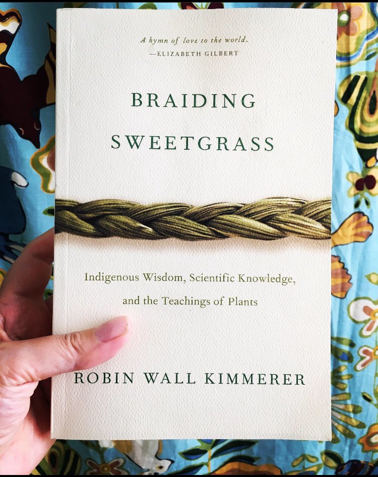 On #IndigenousPeopleday I’m thinking about this magnificent book on #botany #science and indigenous ways of knowing. #books #amreading #nativeinstem #NativeAmericans
