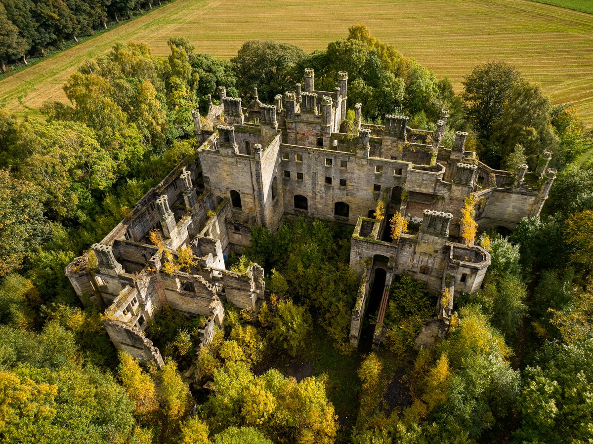 SilvaScienta tweet media