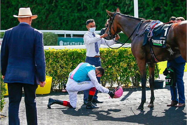 JoeSeward1's tweet photo. Today was certainly no ordinary Monday in horse racing .
Legends is a term often over used,but John Oxx and Enable will be remembered for all the right reasons and they gave the sport we love many amazing days !!!!
Happy Retirement to both.
#Enable
#JohnOxx
#Horseracing https://t.co/mWAOiLiHKt