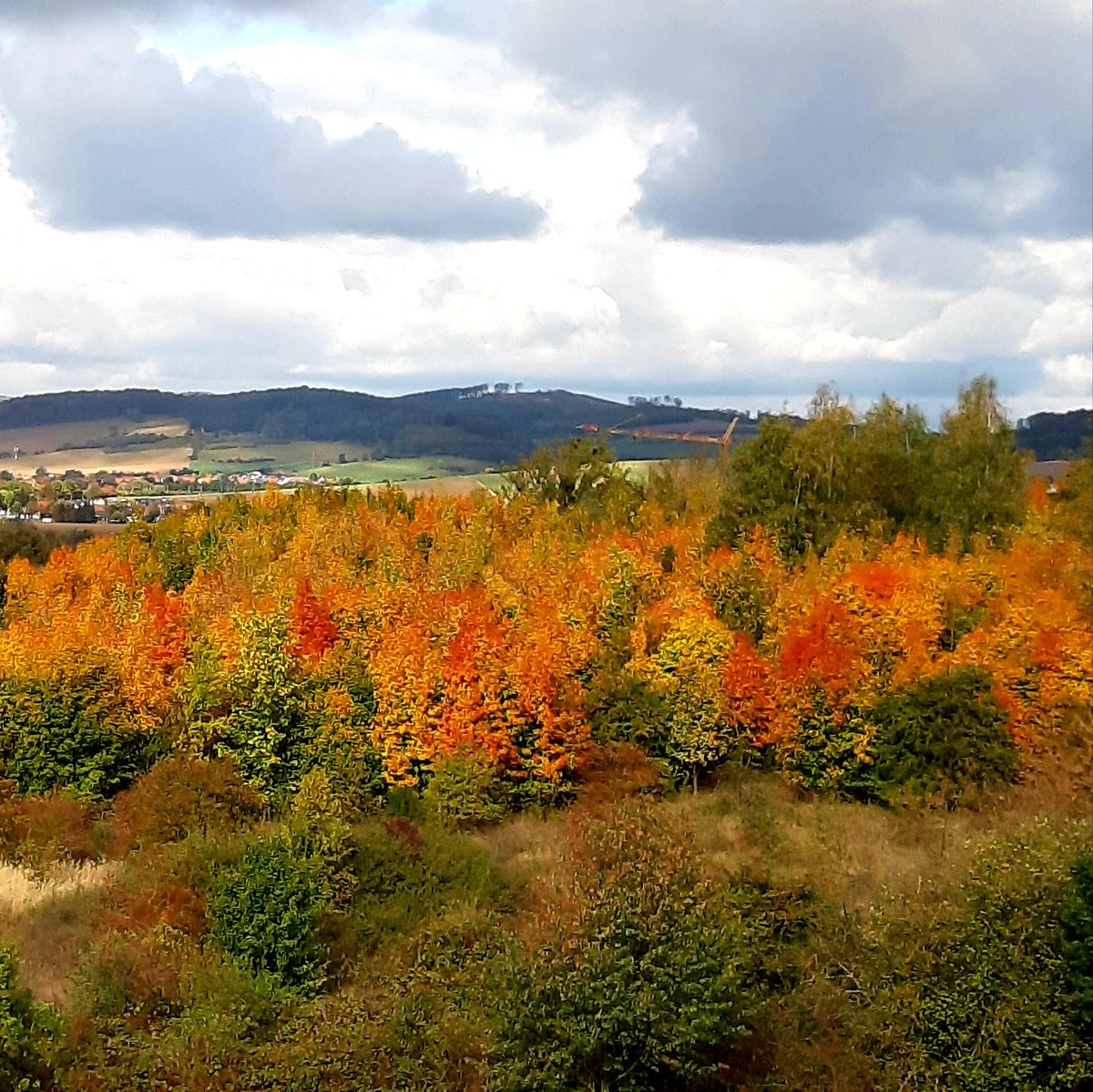 #herbst #herbstimpressionen #herbstfarben #farbenpracht #komplettepalette