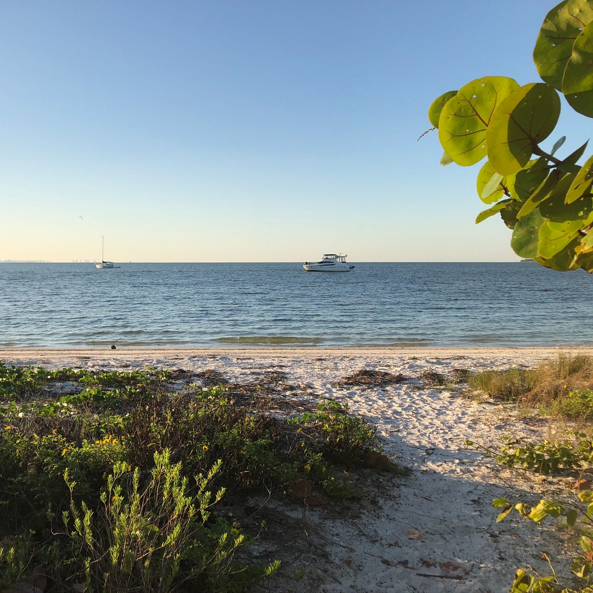 RoyalShellFL's tweet photo. Here's your #MondayMotivaton for this week.
Which #Sanibel beach scene (1-4) is your favorite? #RoyalShellStyle https://t.co/U8JsY00oSn