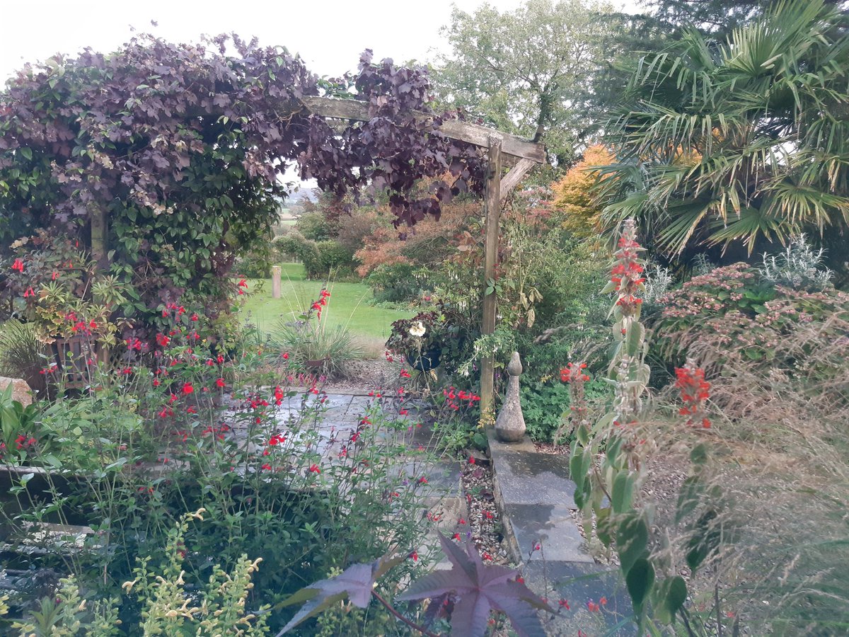 Damp garden
