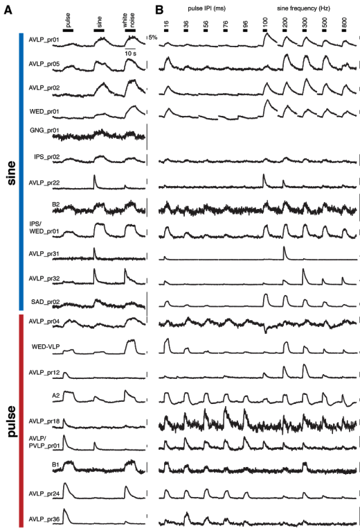 z yan wang tweet media