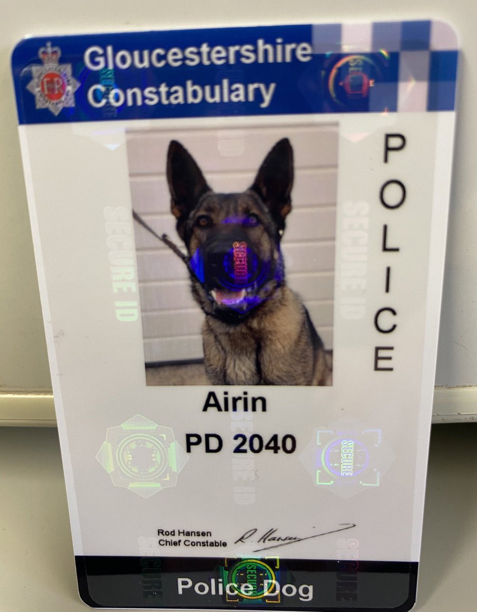 GLOUCESTERSHIRE CONSTABULARY appear to have gone to a lot of trouble to secure their cards, and then entirely negated it by making a novelty one for a dog. look at those holograms. someone had a budget surplus