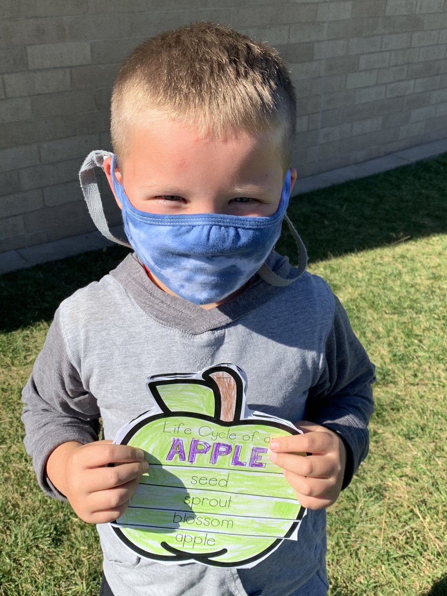 MrsLinzsKindergarten tweet media