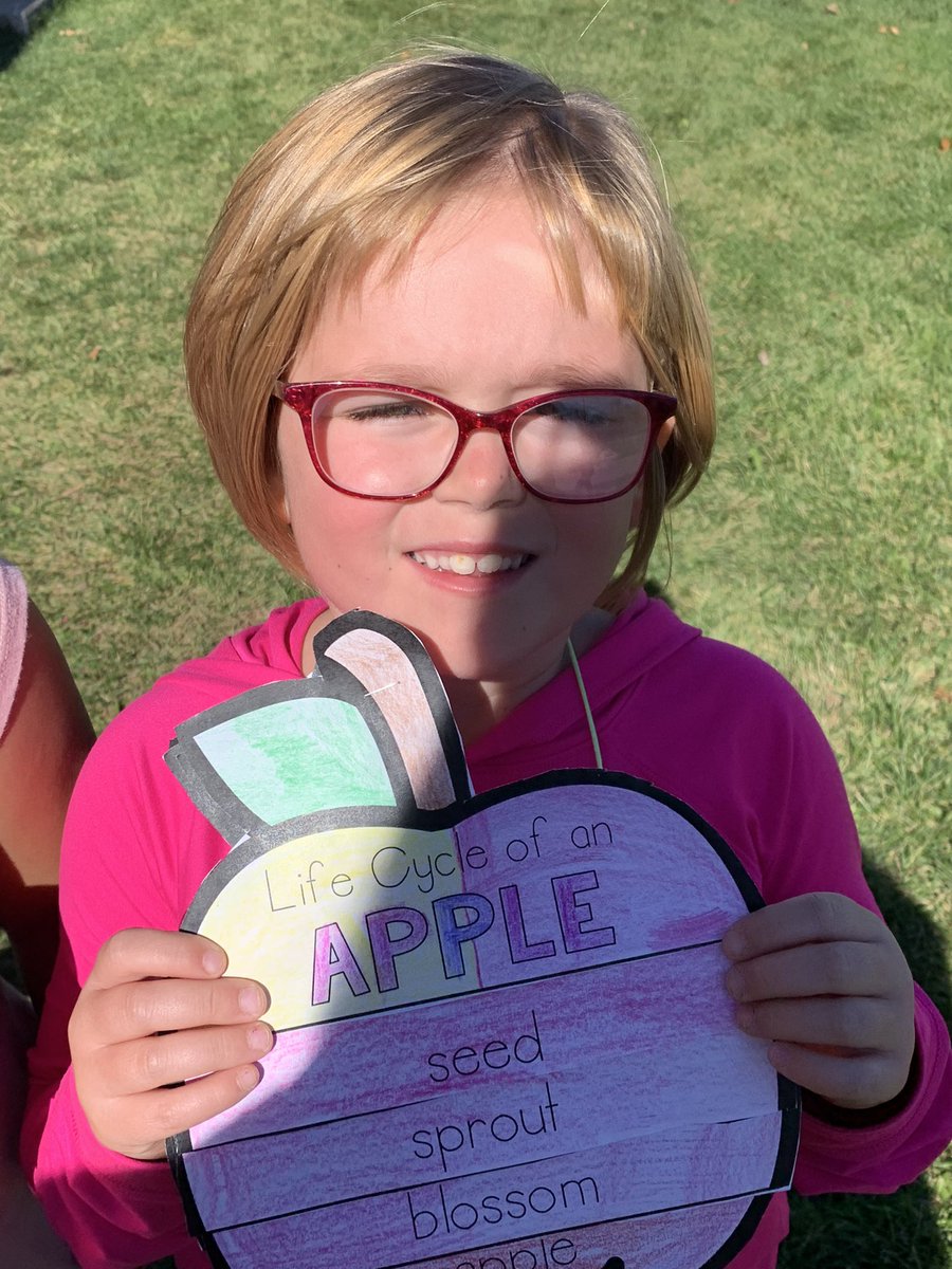 MrsLinzsKindergarten tweet media