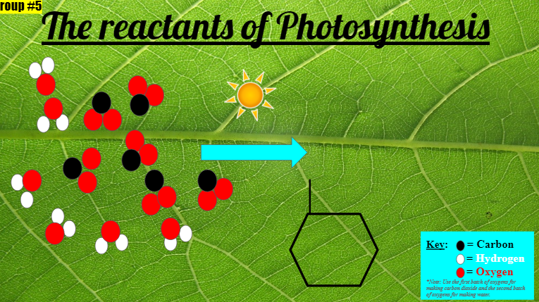 brewerbiology's tweet photo. Digital modeling of photosynthesis reactants and products using Google Slides challenged freshmen biology students to see matter movements, matter changes, and energy changes. https://t.co/xZvoowAc3N