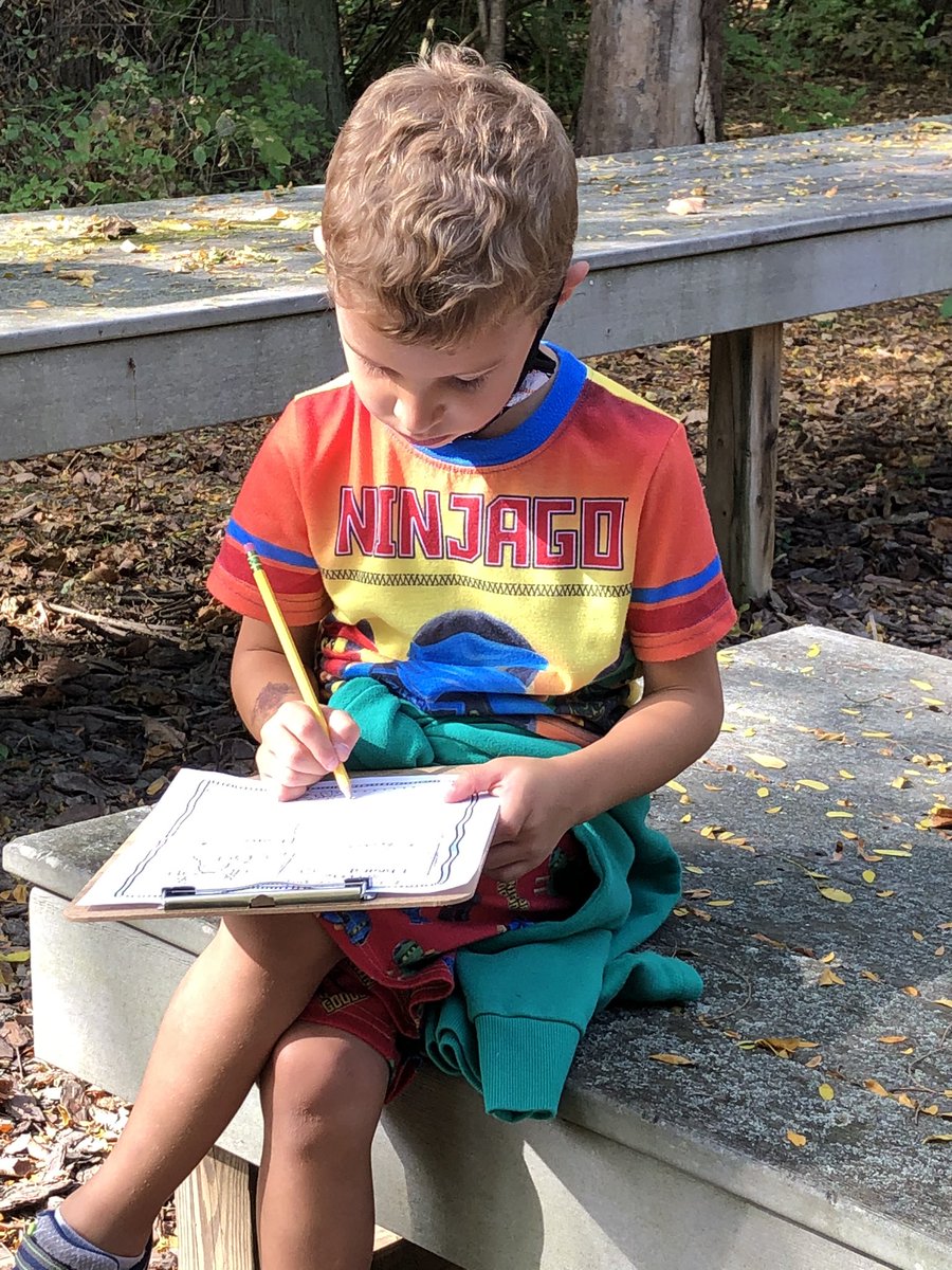 Kellyarmfelt's tweet photo. Nothing better than taking a nature walk at the end of a busy learning week! What do you notice? #scienceobservations https://t.co/ndKANzM4a5